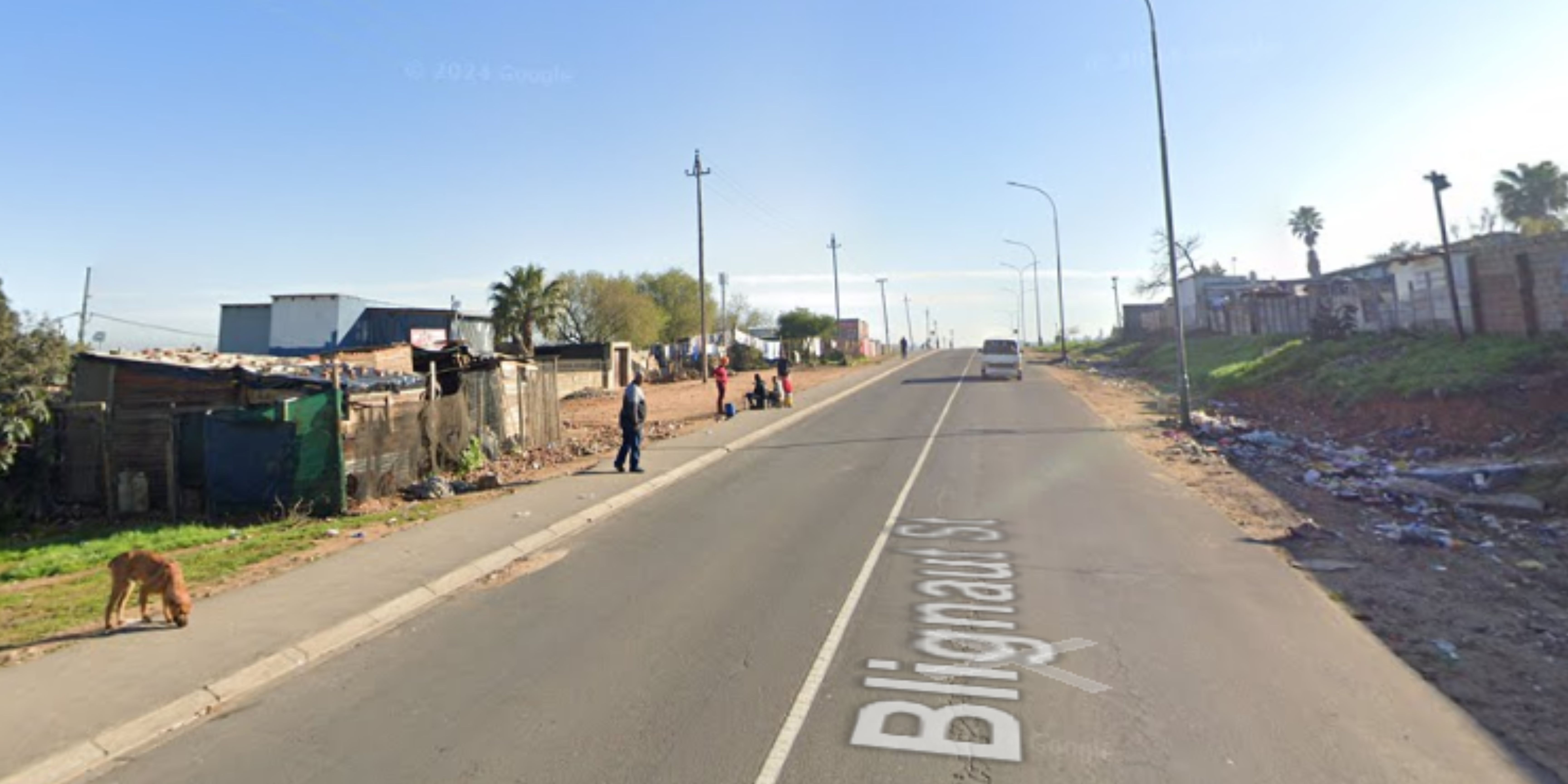 Wellington Commuters Targeted: Youth Gangs Spark Fear on Taxi Routes